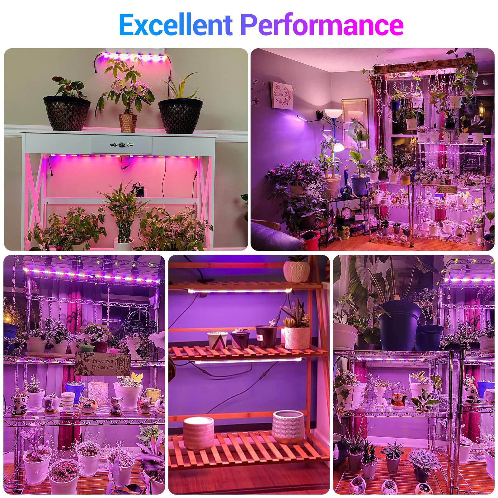 CT CAPETRONIX grow light strips helping seedlings indoors