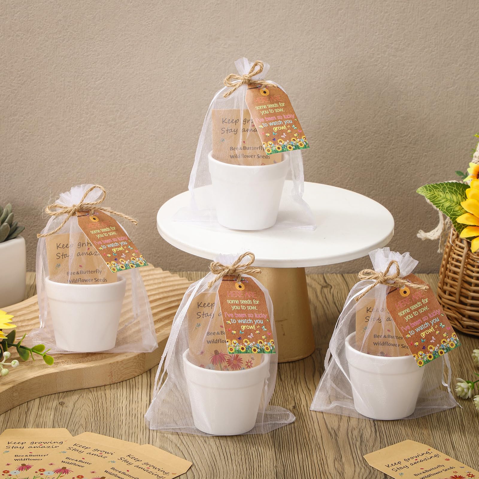 Ctosree miniature potted plants enhance graduation gift keepsakes