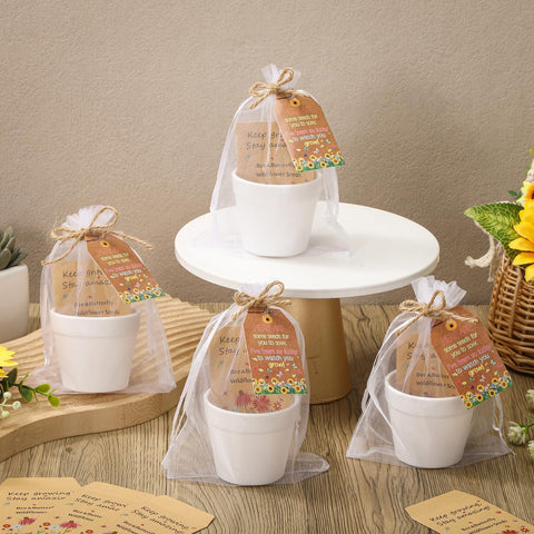 Ctosree miniature potted plants enhance graduation gift keepsakes