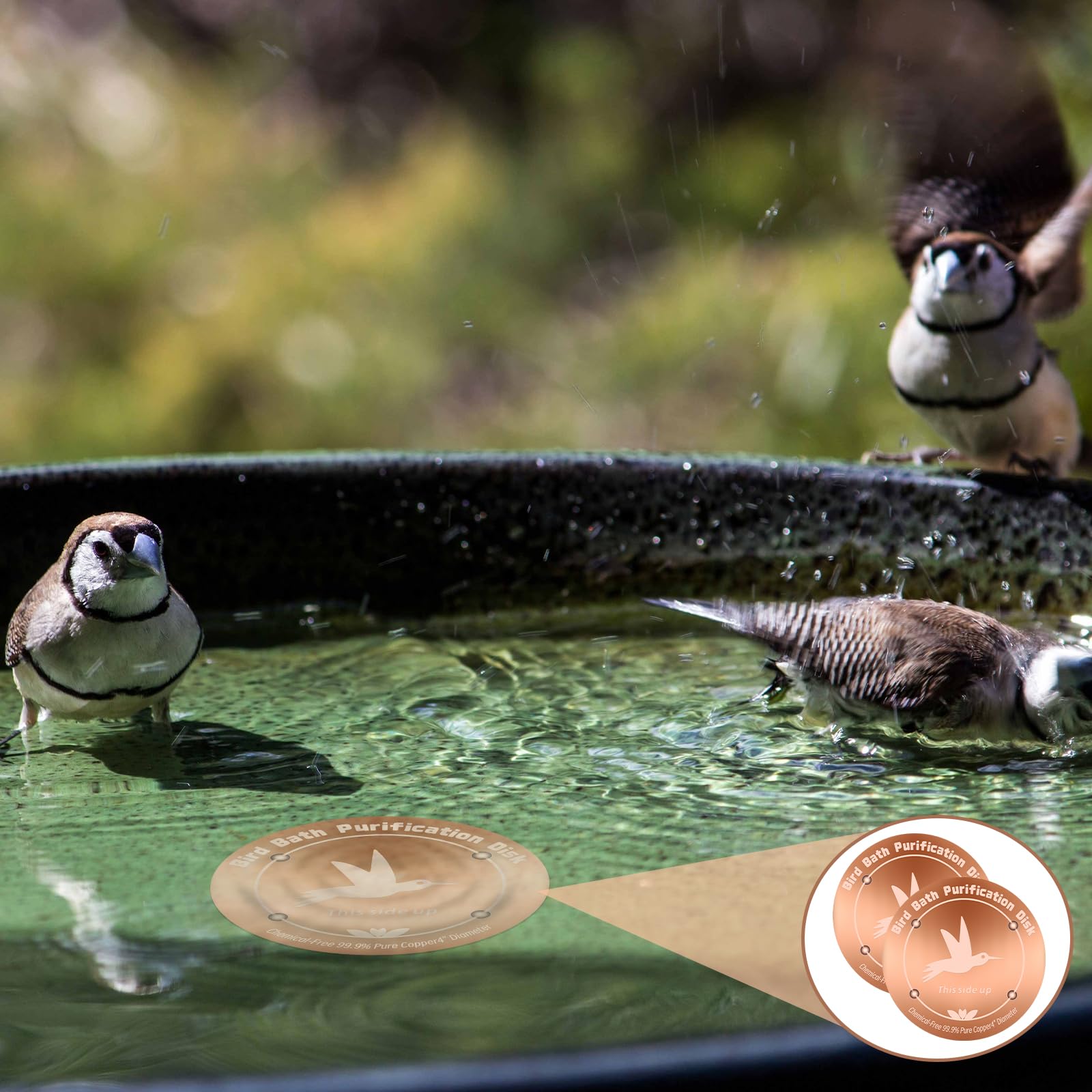 CTTZCKJ multi-pack copper disks support larger bowls with consistent cleanliness