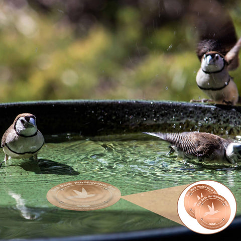 CTTZCKJ multi-pack copper disks support larger bowls with consistent cleanliness