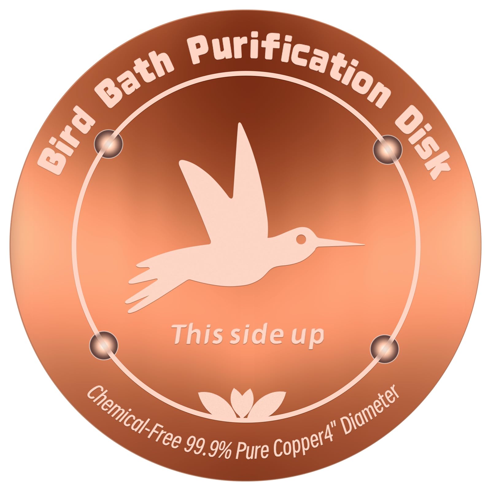CTTZCKJ four-inch copper bird bath disk purifies outdoor water.