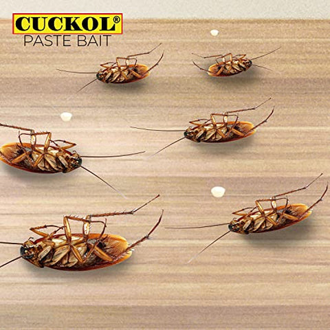 Cuckol kitchen-use gel bait ideal for indoor roach management.
