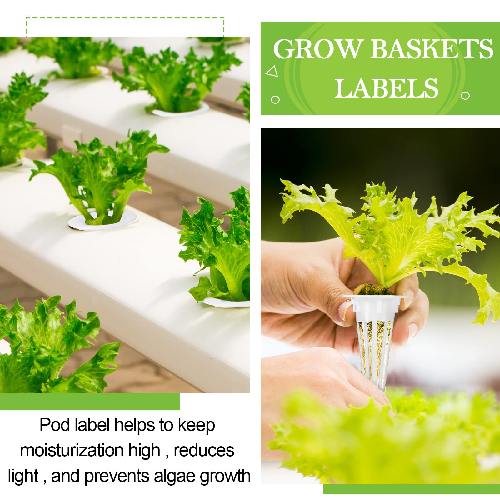 Cunhill basket bottom groove design; enhances water circulation for roots.