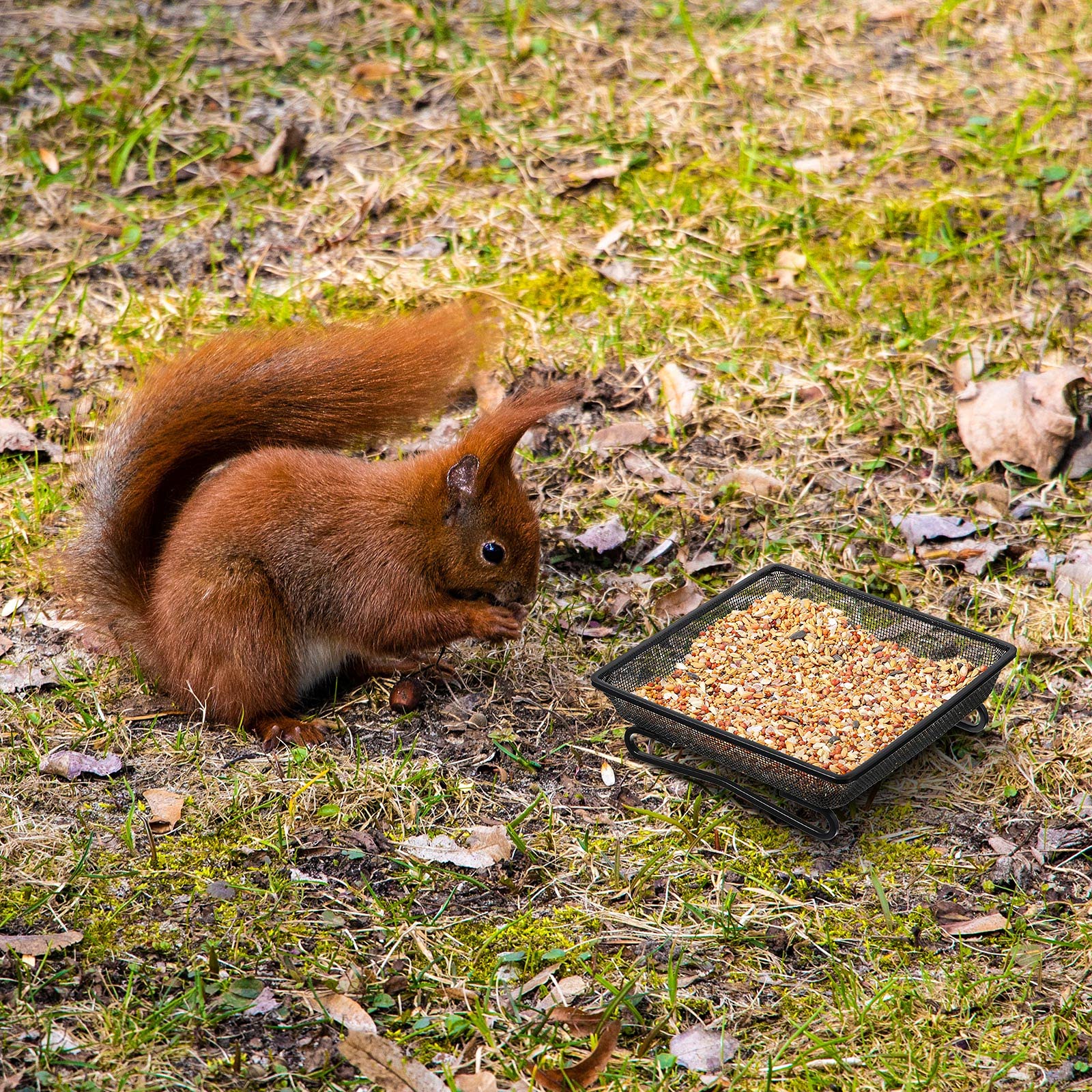 Package includes two feeders and four elastic ropes for setup.