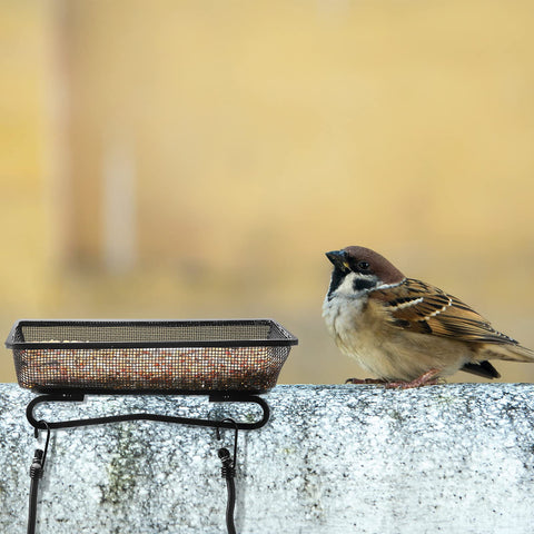 Rust-resistant Cunhill feeder tray designed for outdoor durability.