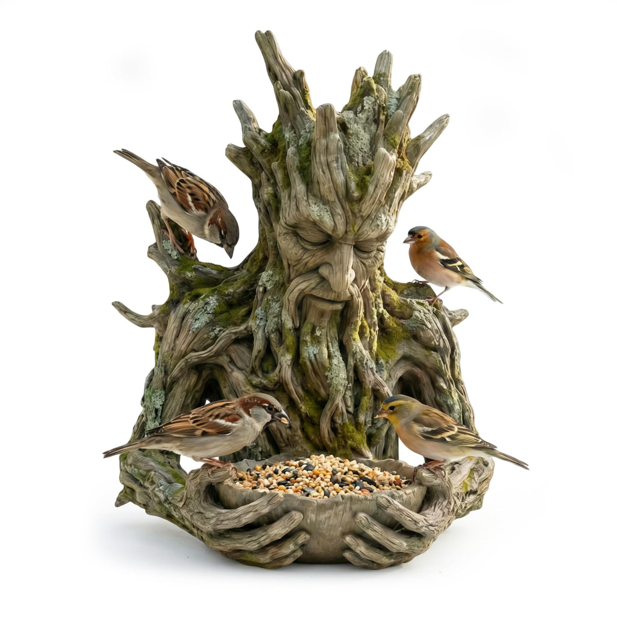 cuoct Quiet Offering bird feeder held in hands with open dish invites small birds