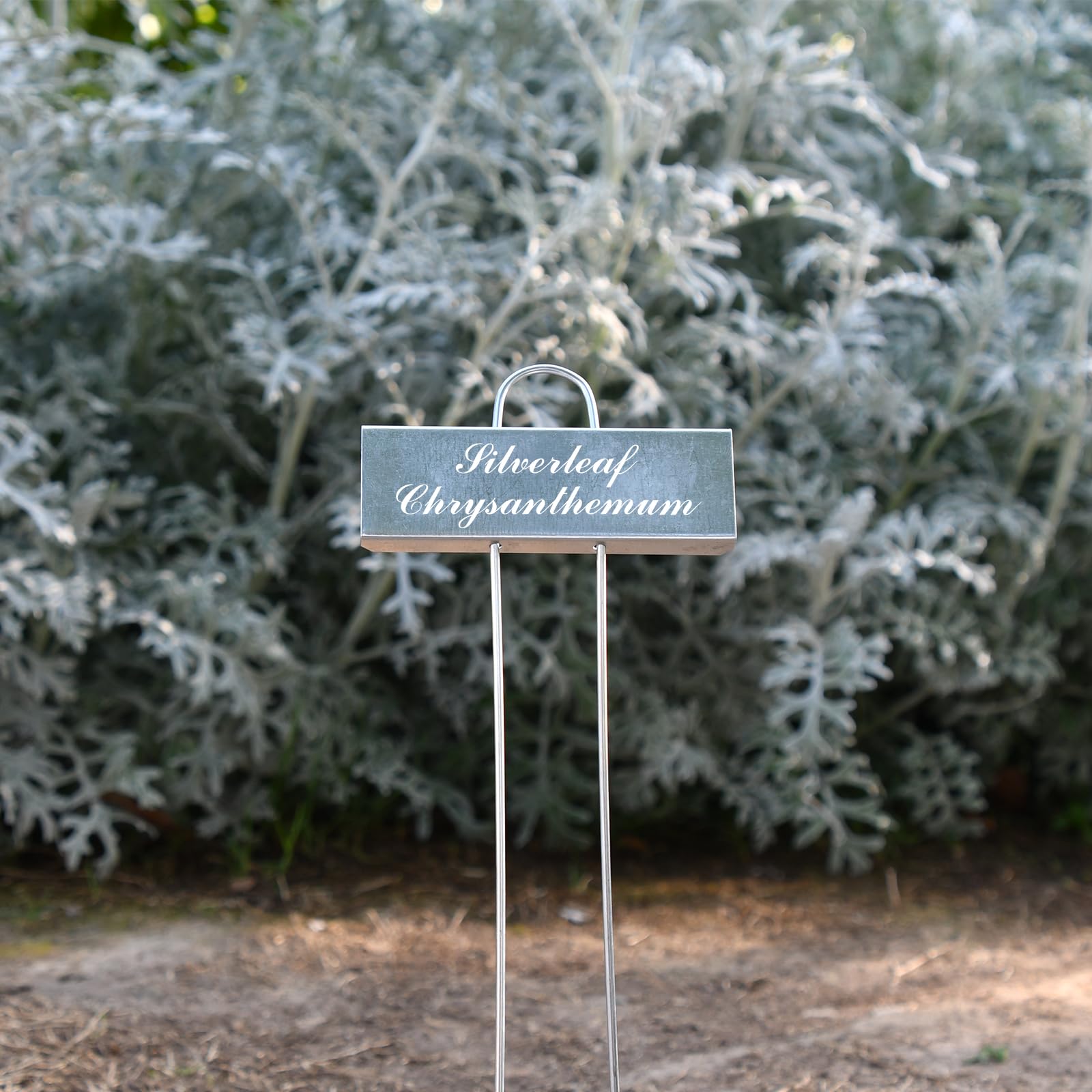 Cureder gift for plant lovers—durable garden label set.