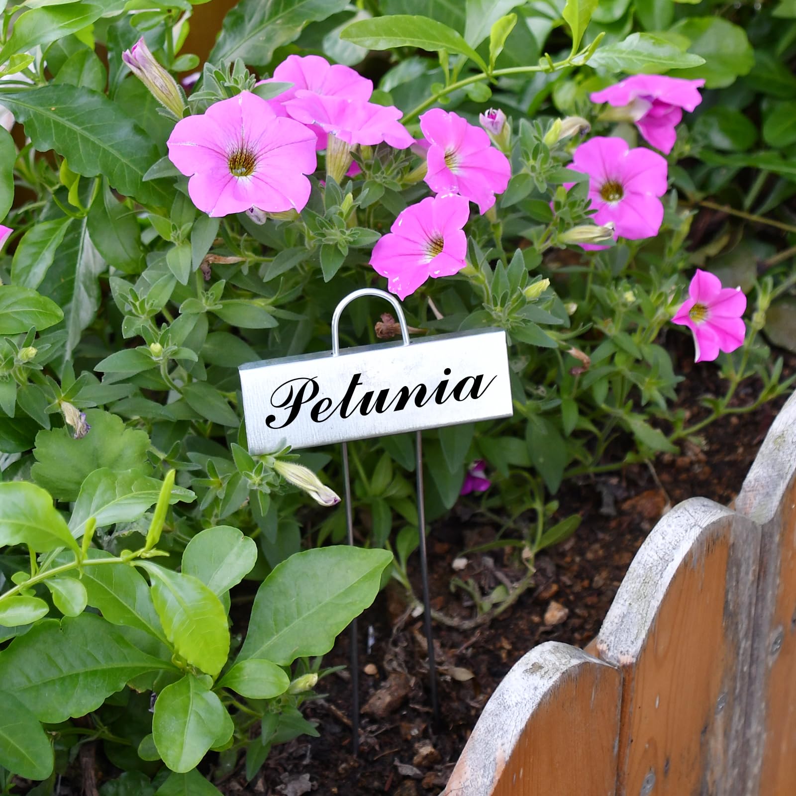 Cureder gift-pack of metal labels ideal for plant lovers.