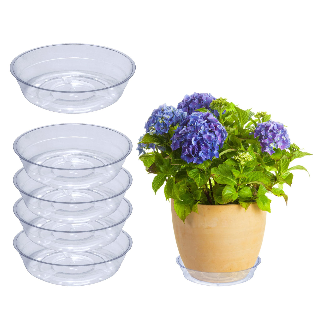 Curtis Wagner Plastics drip pan saucer clear with 3in base and 4in top, protects surfaces.