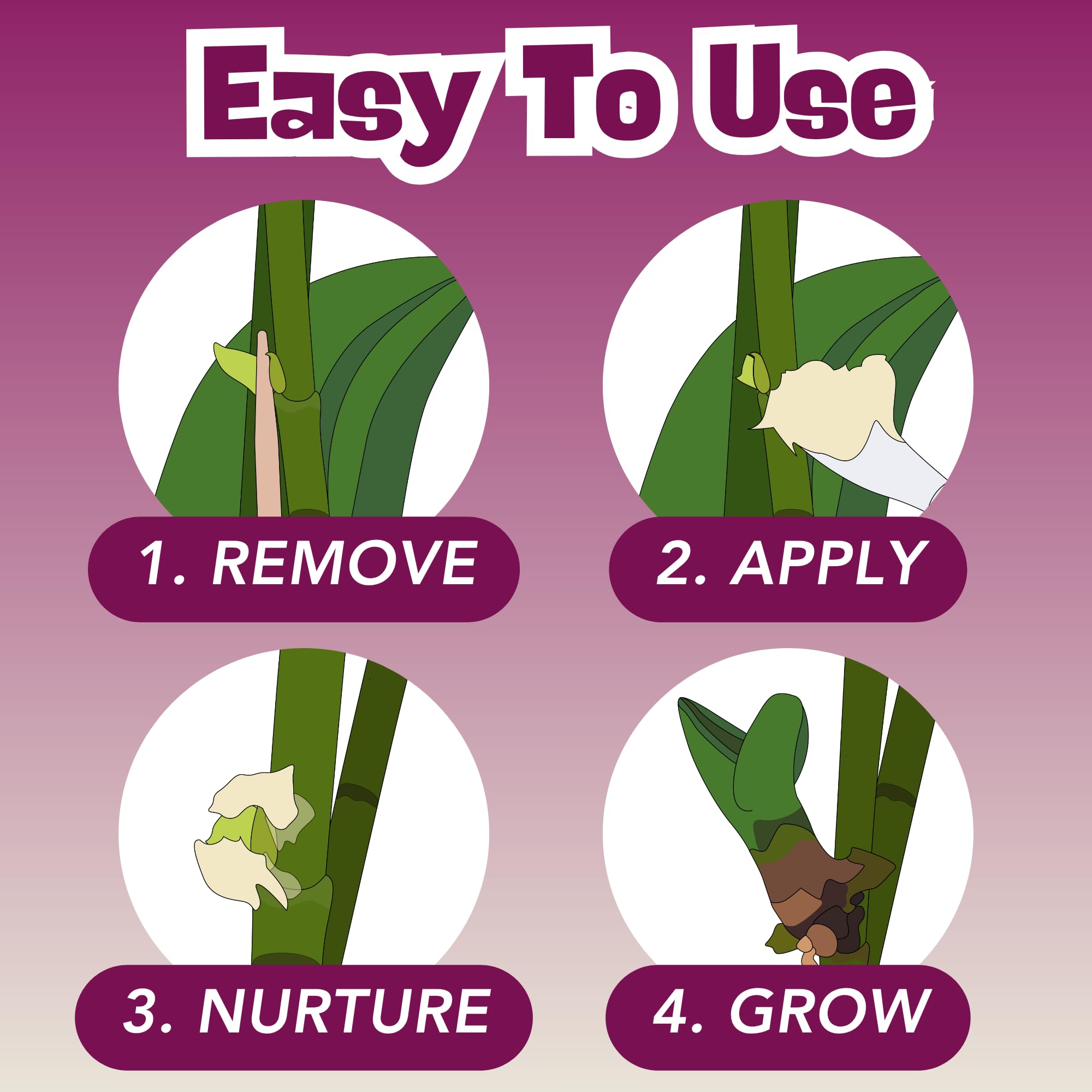 Cute Farms Houseplant stem with paste encourages new shoots and fuller vines.