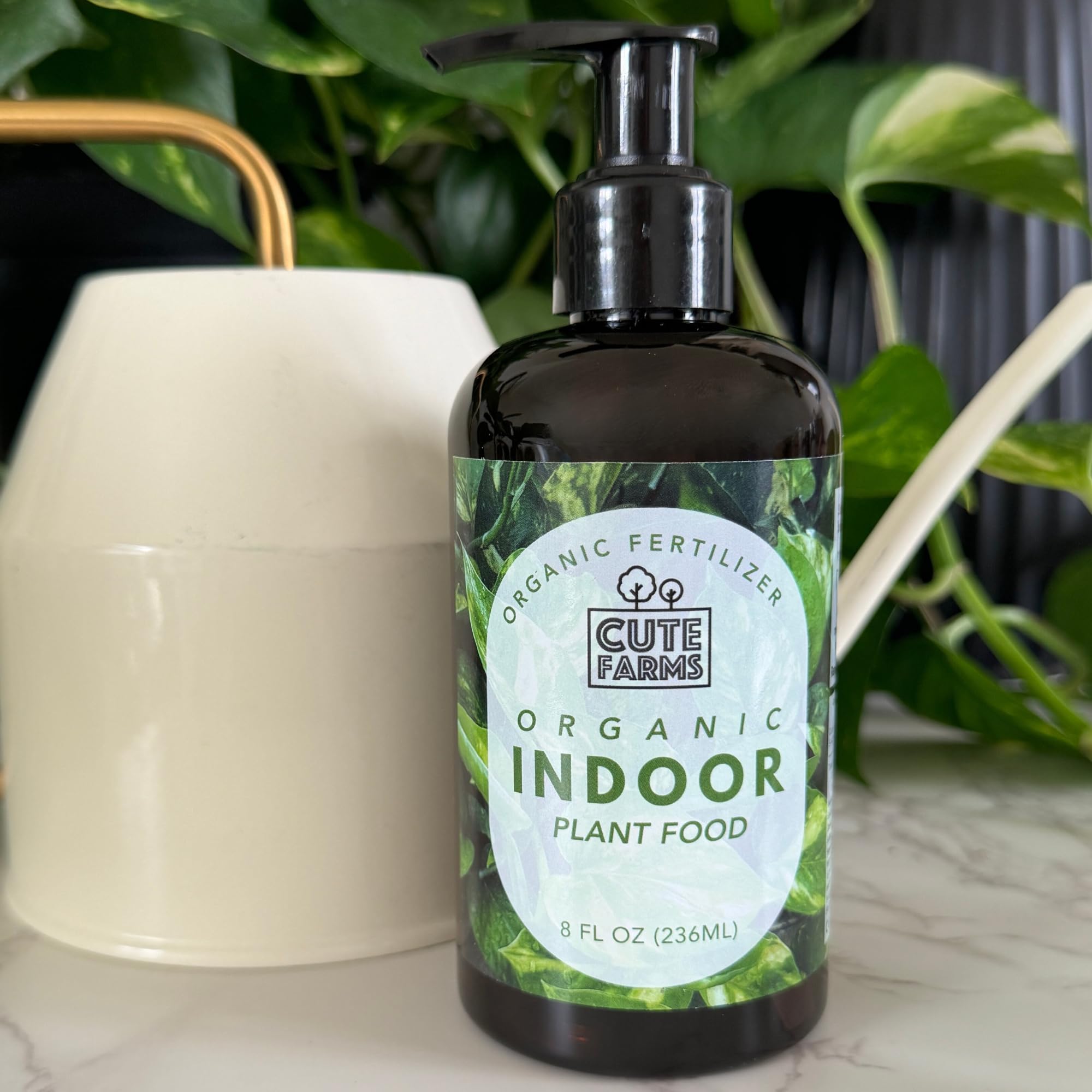 Indoor plants like ferns and pothos thrive with Cute Farms fertilizer