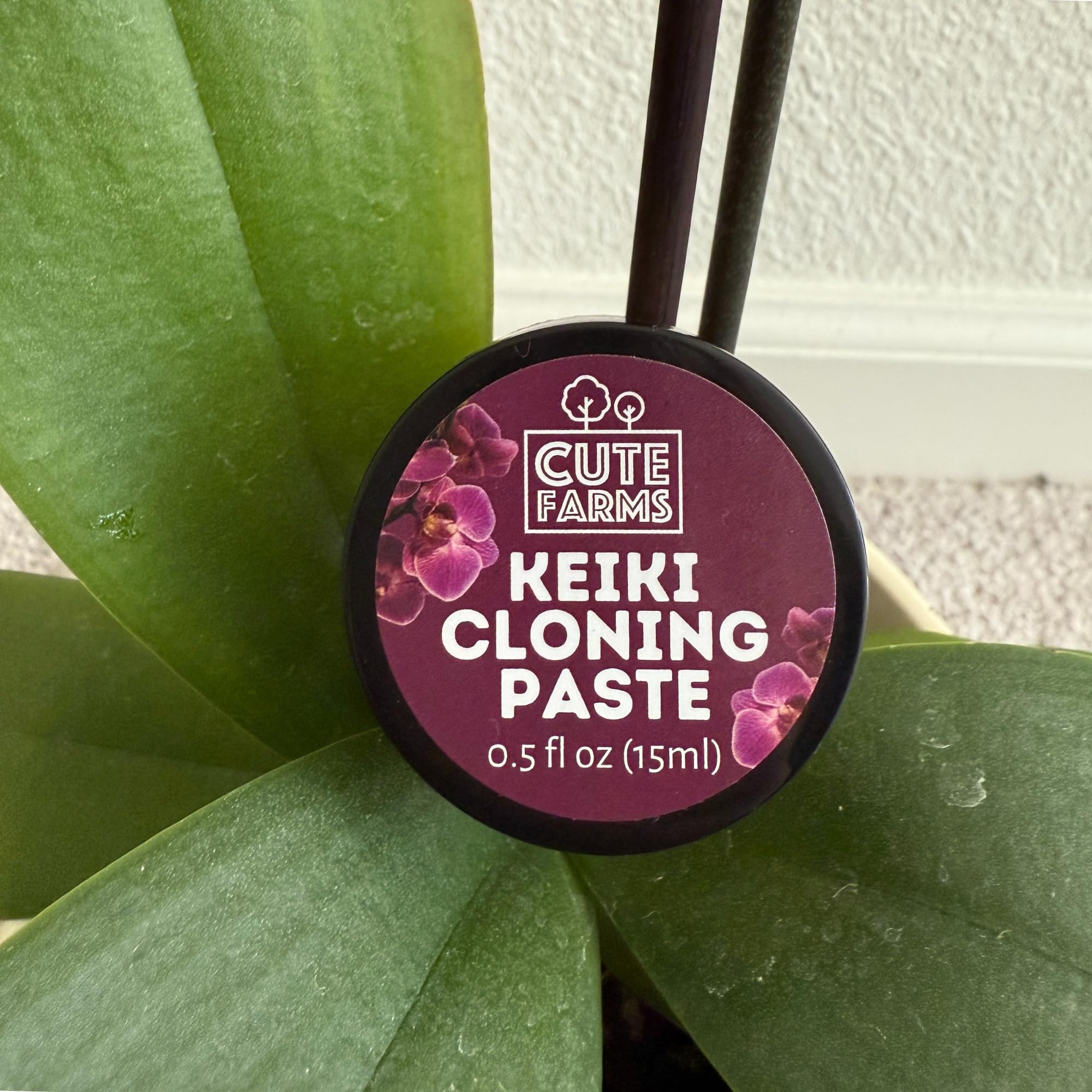 Cute Farms Keiki Cloning Paste 2x size packaging for propagation.