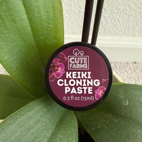Cute Farms Keiki Cloning Paste 2x size packaging for propagation.