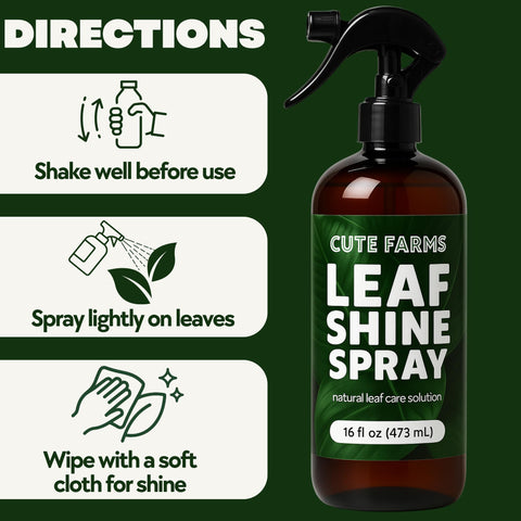 Essential oils in Leaf Shine Spray refresh leaf surfaces.