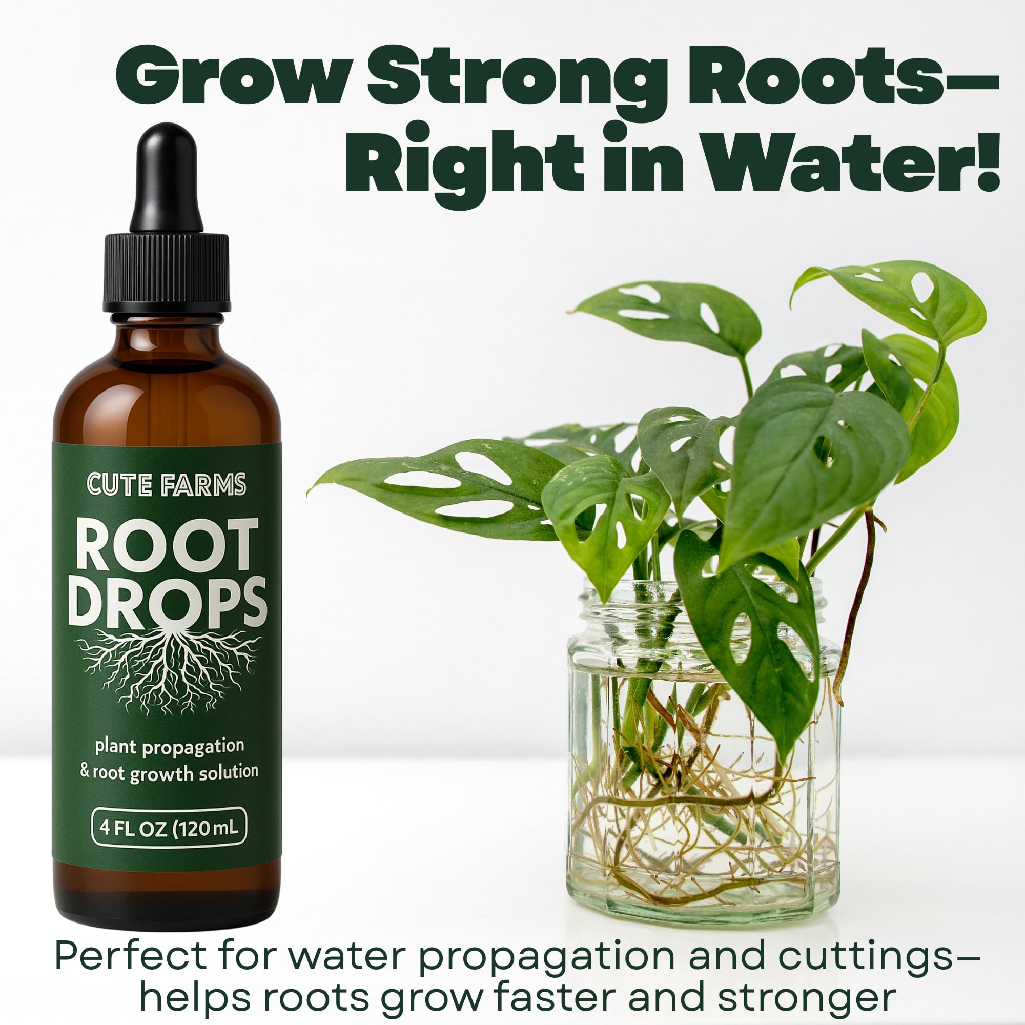 Precise dropper in action for safe propagation with Root Drops