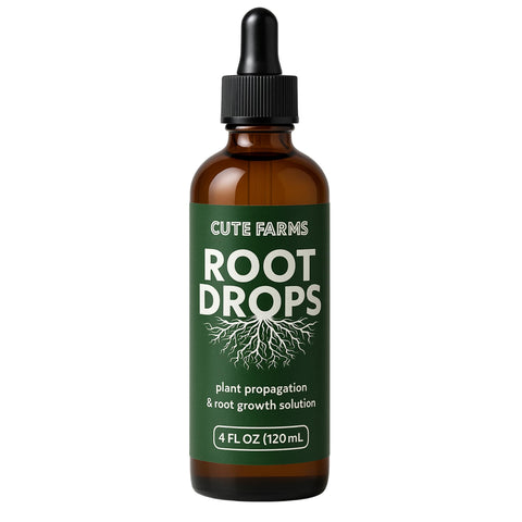 Root Drops in soil propagation helping cuttings establish quickly