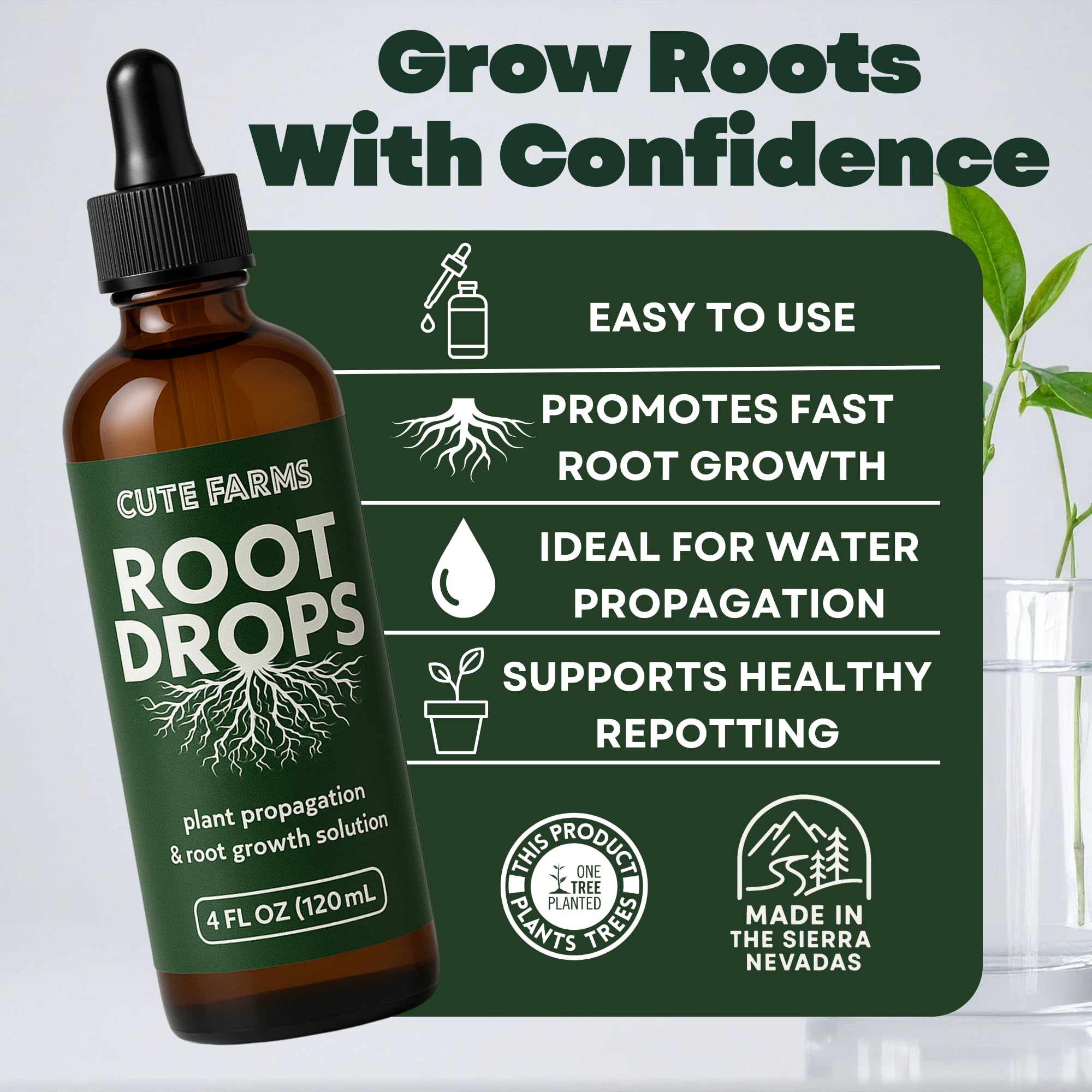 Root Drops used in water propagation encouraging quick root growth