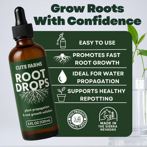 Root Drops used in water propagation encouraging quick root growth