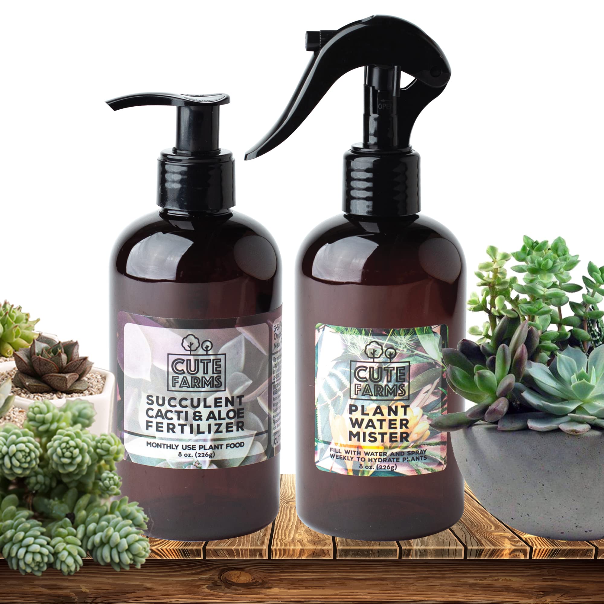 Cute Farms succulents show vibrant color with balanced nutrients.