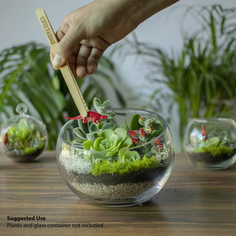 Cute Farms terrarium soil blend promotes drainage and airflow for healthy roots.