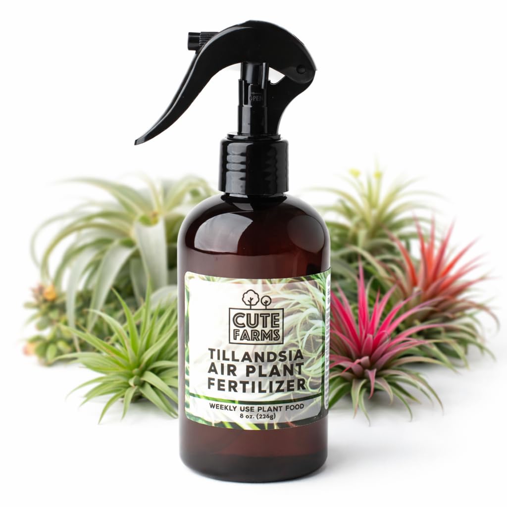 Cute Farms Tillandsia fertilizer bottle front, ready-to-use weekly care for healthy growth.