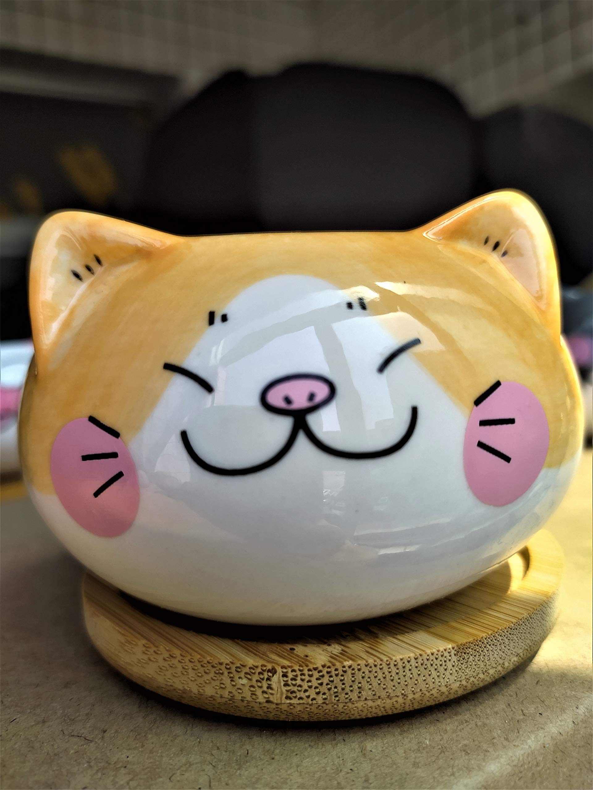 Cuteforyou cat pot bottom drainage hole improves airflow for plants.
