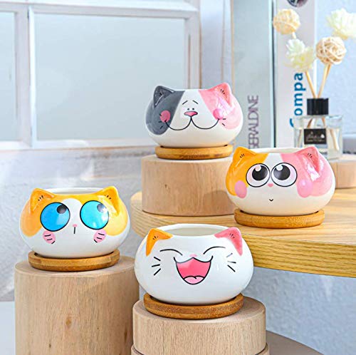Cuteforyou cat pot closeup highlights ceramic texture and craftsmanship.