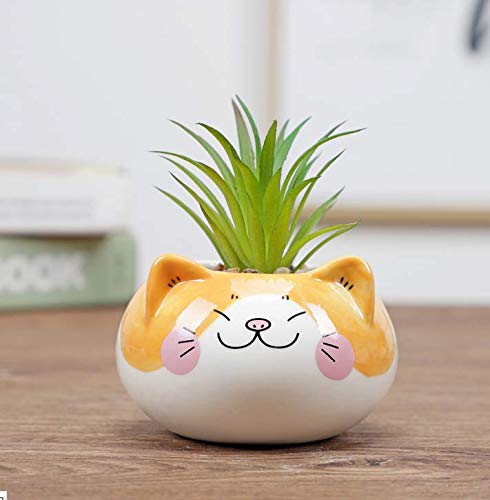 Cuteforyou cat pot front view shows playful design and bright yellow color.