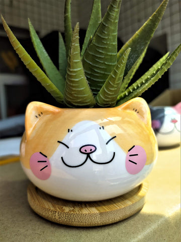 Cuteforyou yellow cat pot makes a thoughtful gift for plant lovers.