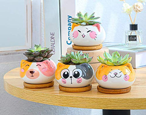Cuteforyou cat pot used as office decor for a whimsical workspace.