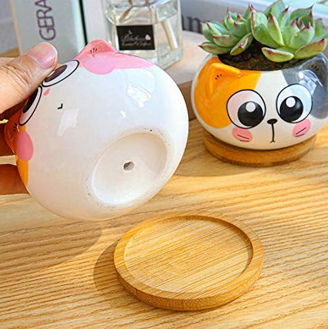 Cuteforyou cat-shaped planter close-up highlighting glaze and playfulness