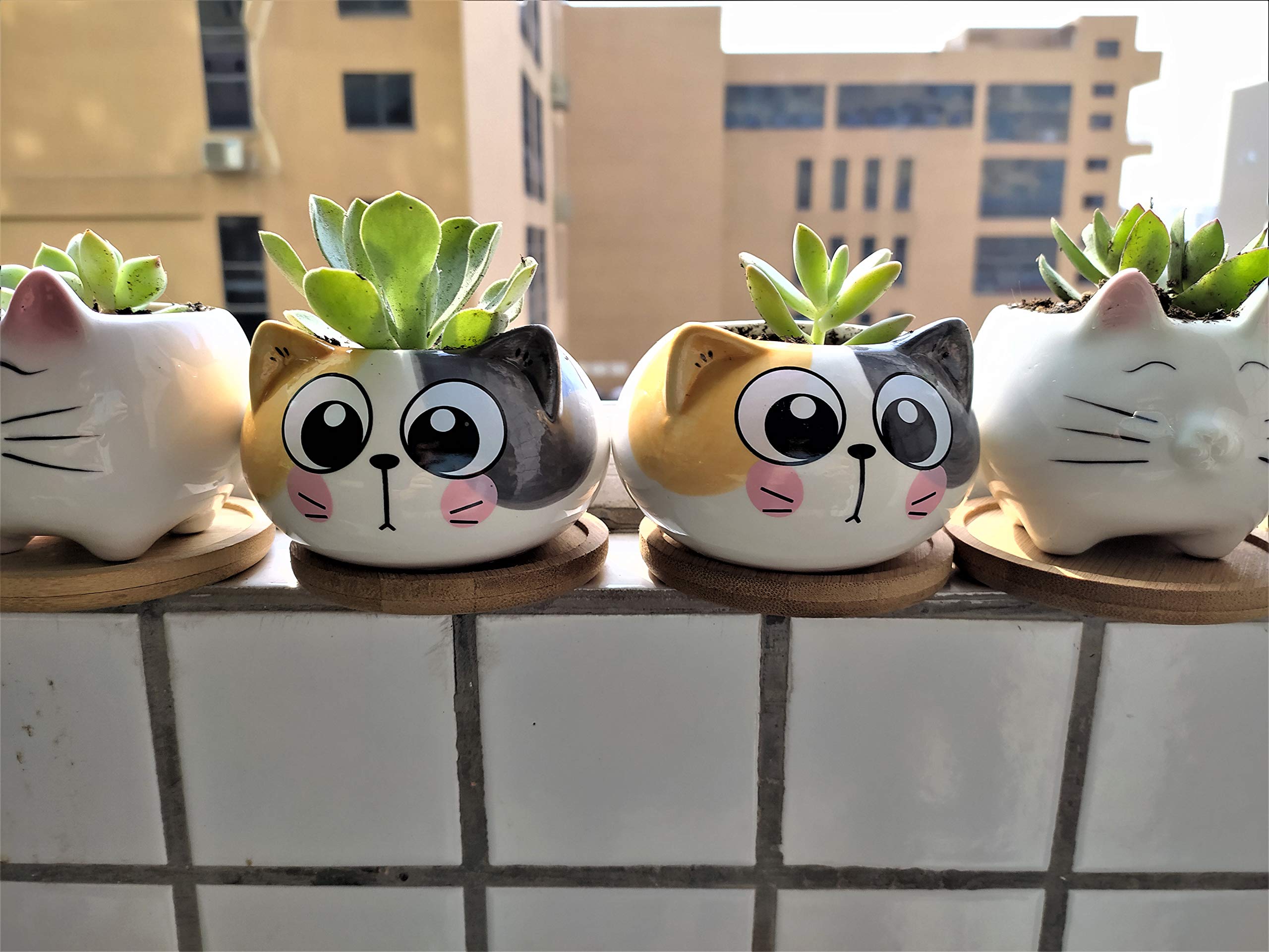 Cuteforyou succulent pot with bamboo tray accent for surfaces