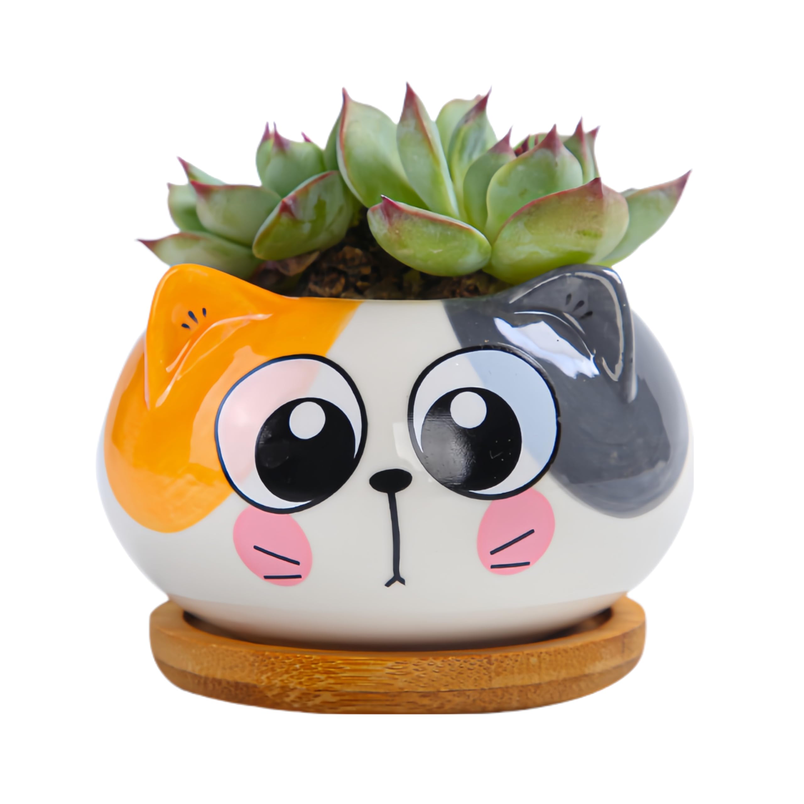 Cuteforyou cat-shaped ceramic succulent pot with bamboo tray for desk decor