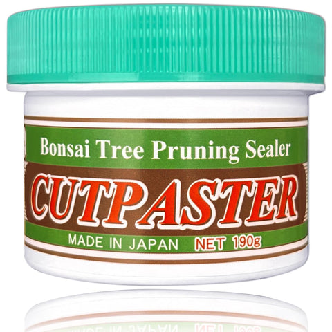 CUTPASTER bonsai cut paste close-up showing brown paste for bonsai repairs