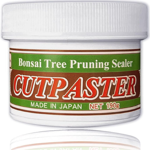 CUTPASTER bonsai cut paste tool front view for precise application.