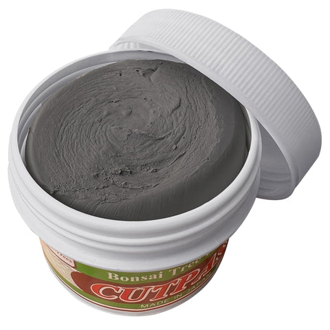 CUTPASTER bonsai cut paste tool in use, smooth sealing of pruning sites.