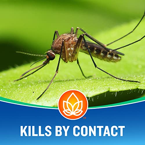 Backyard play area spray from Cutter Essentials Bug Control Spray Concentrate for outdoor mosquito control