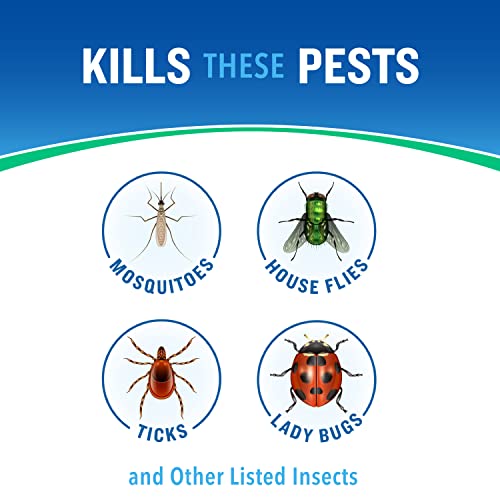 Lawn-area application of Cutter Essentials Bug Control Spray Concentrate to protect yard