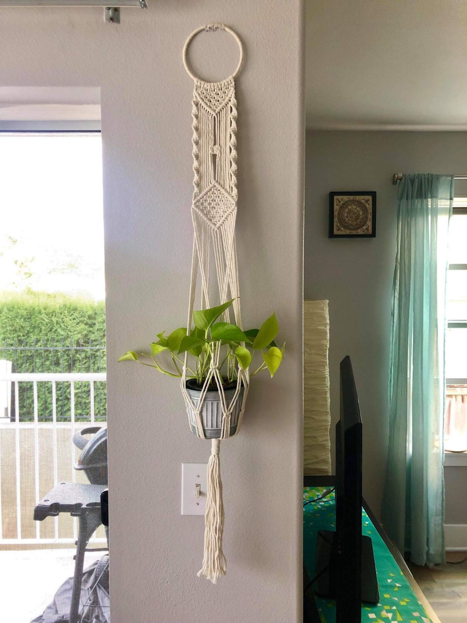 Cuttte cat-safe hanging planter keeps plants out of reach from pets.