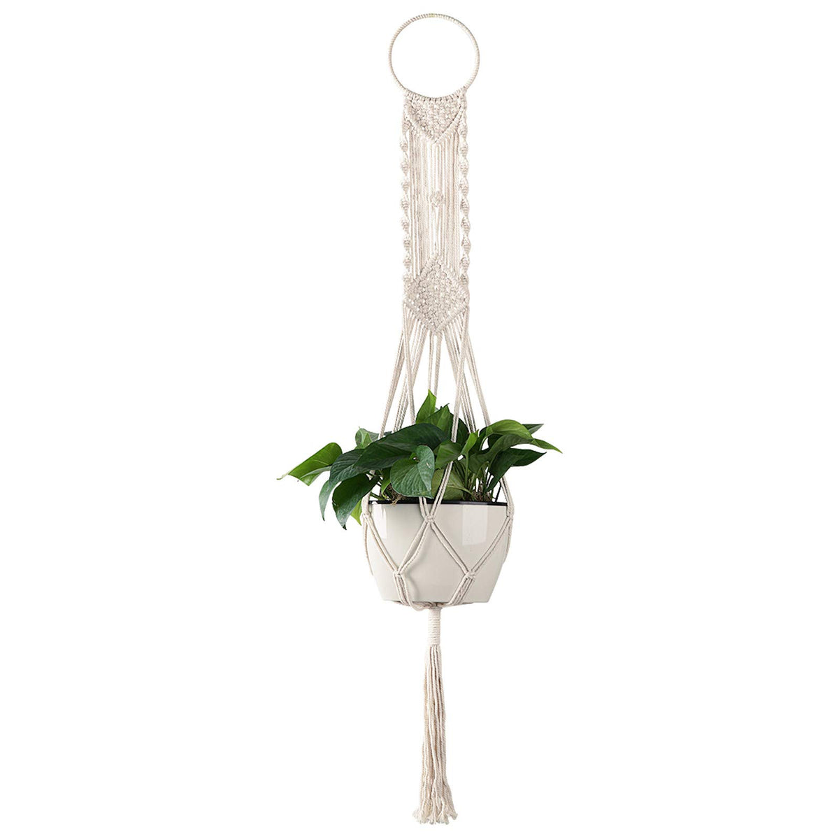 Cuttte cream macrame plant hanger with four legs displaying a pot.