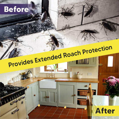 CuuFceEo safety for family and pets with gentle formulation