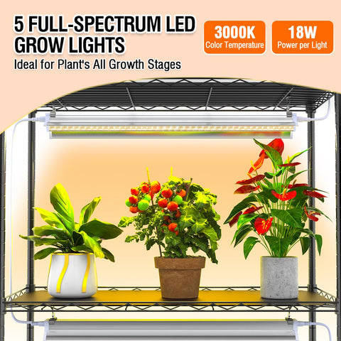 Indoor garden lifestyle setup featuring the Cuverc greenhouse in a living space