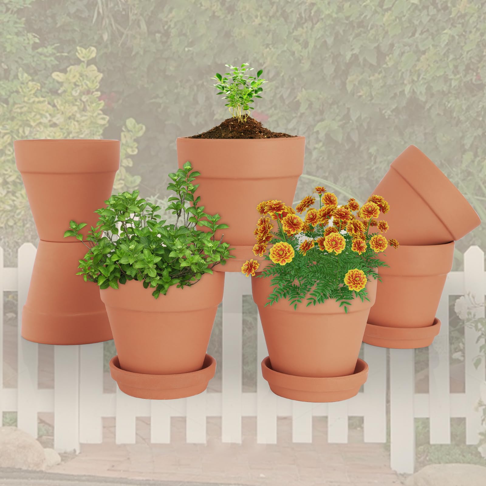 CUZZME 12-pack clay pots arranged on a shelf for display.