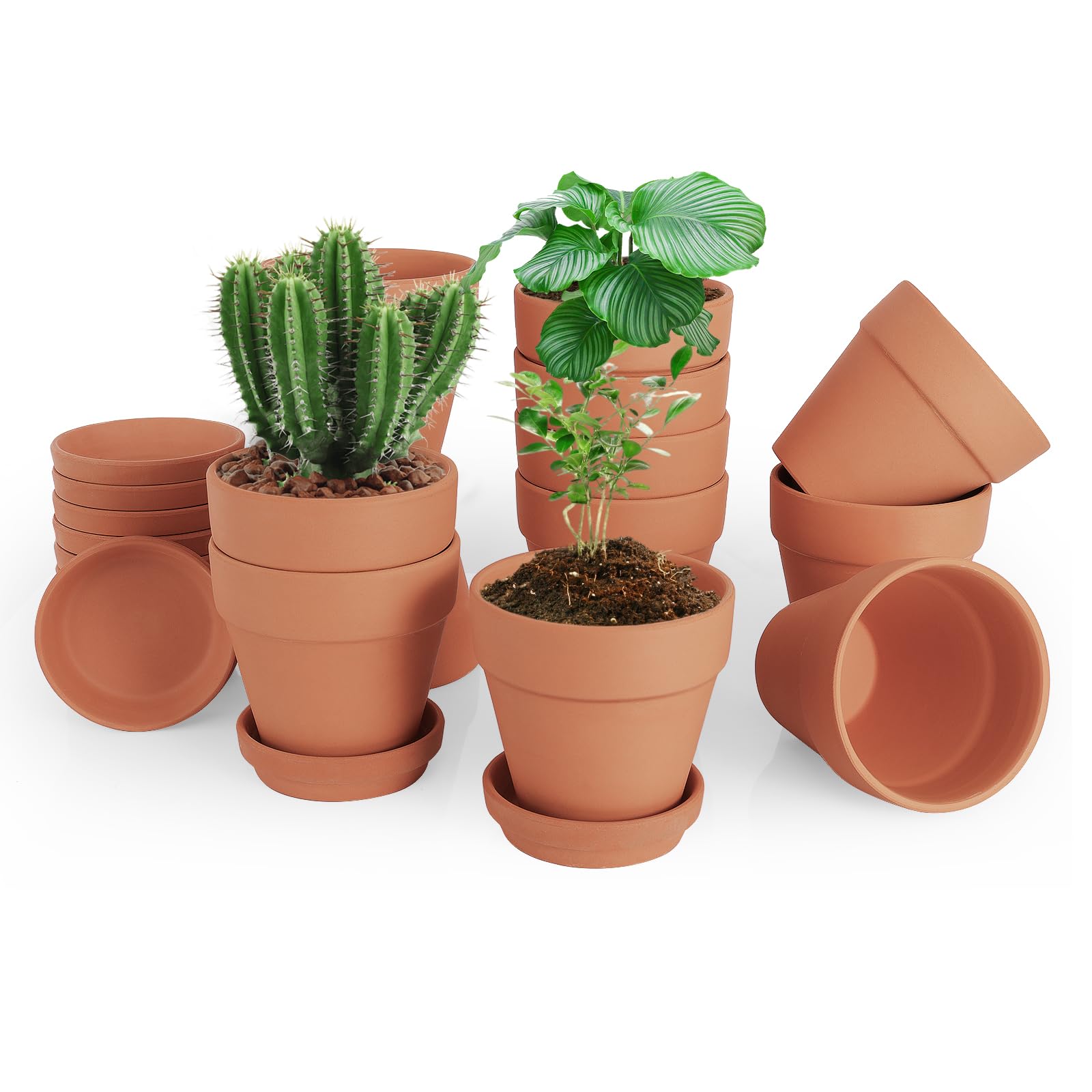 CUZZME 12-pack terracotta pots ideal for DIY crafts.