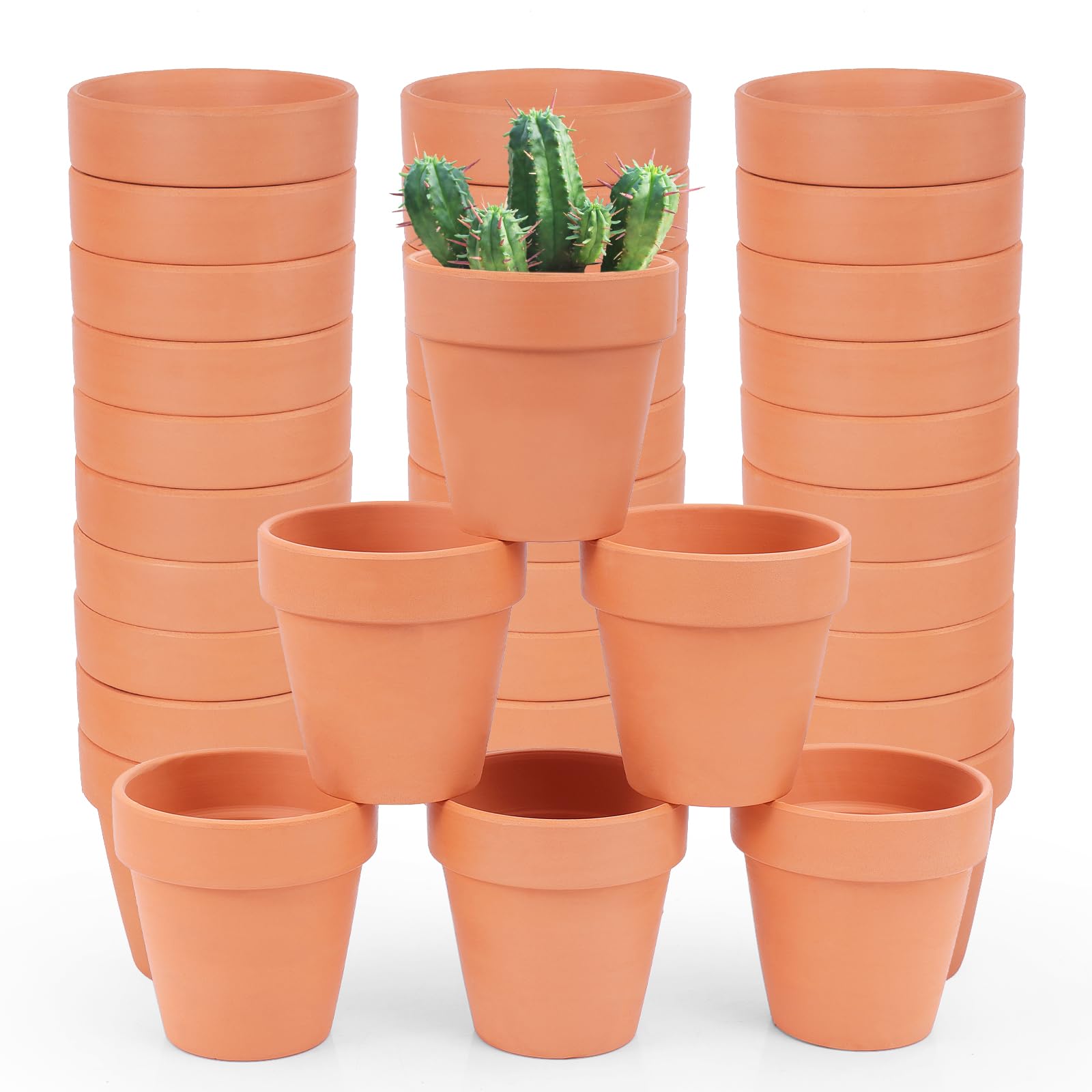 CUZZME terra cotta pot with drainage hole, ideal for compact herb seedlings.