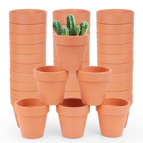 CUZZME terra cotta pot with drainage hole, ideal for compact herb seedlings.
