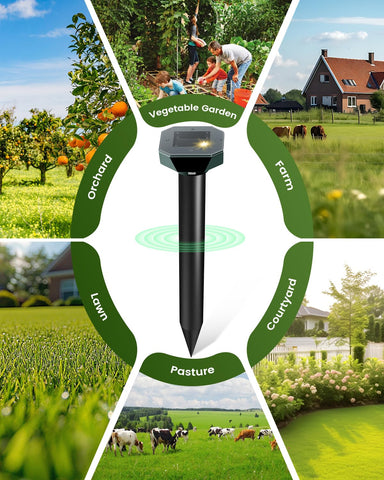 Cvtayn multi-pest protection for lawn and garden against common yard visitors.