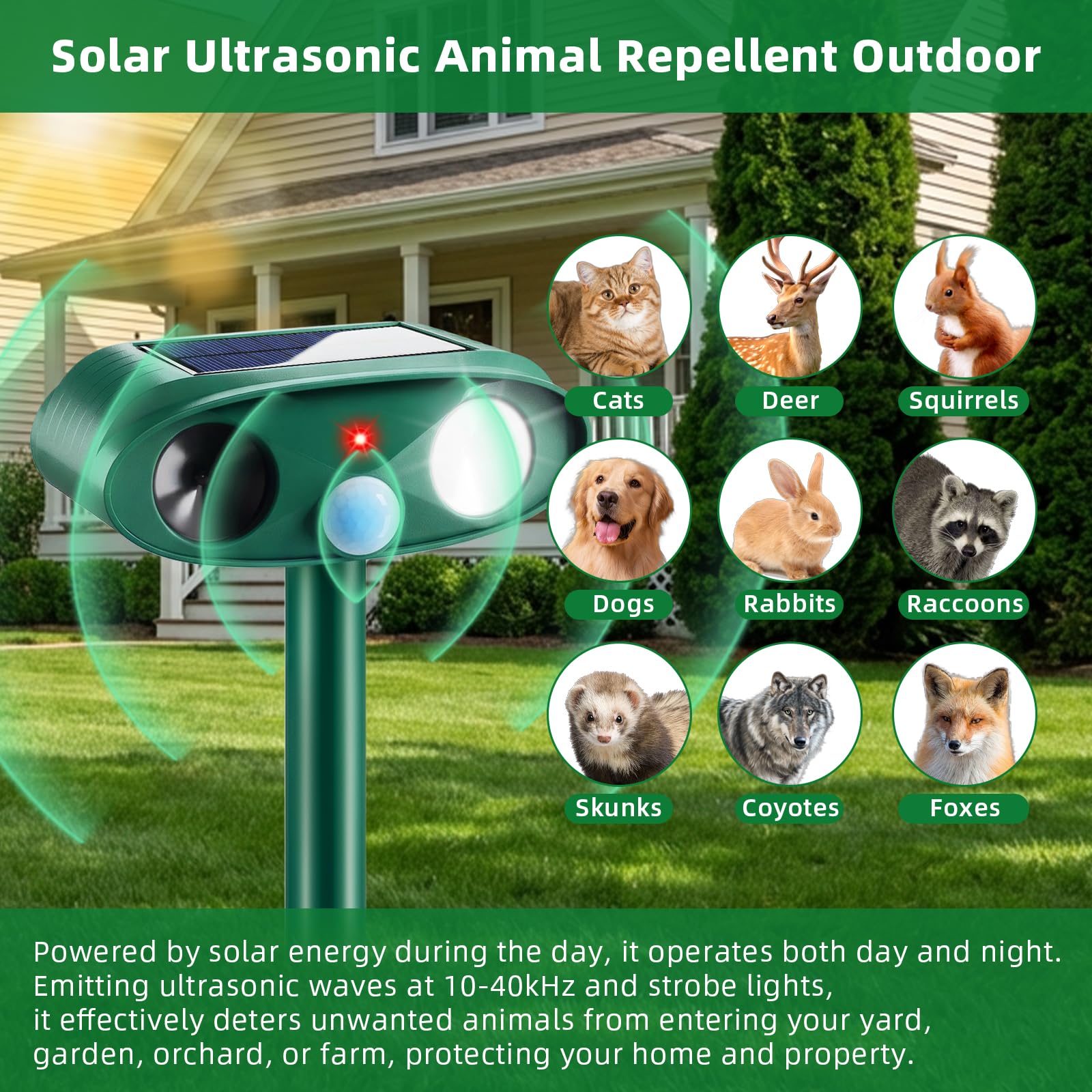 CXIENAOY cat deterrent in garden area helps protect plants humanely
