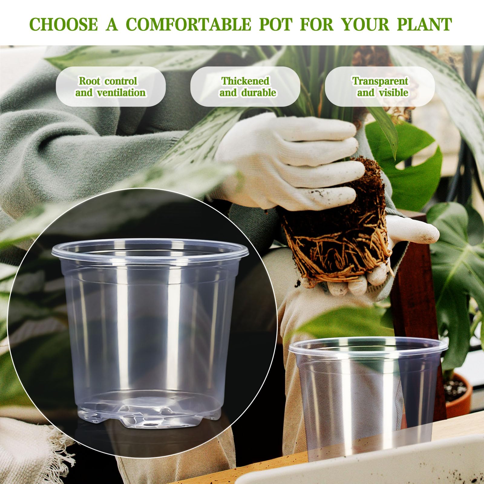 CXIIPOL clear pot 4-inch perfect for starting lilies and mint seedlings.
